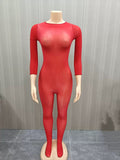 MB FASHION Ultra-Stretch Sheer Mesh Jumpsuit – Full-Length Long Sleeve Bodycon Catsuit for Layering (ONE SIZE) 1454