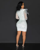 MALYBGG Feather-Adorned Mesh V-Neck Dress 3116LY